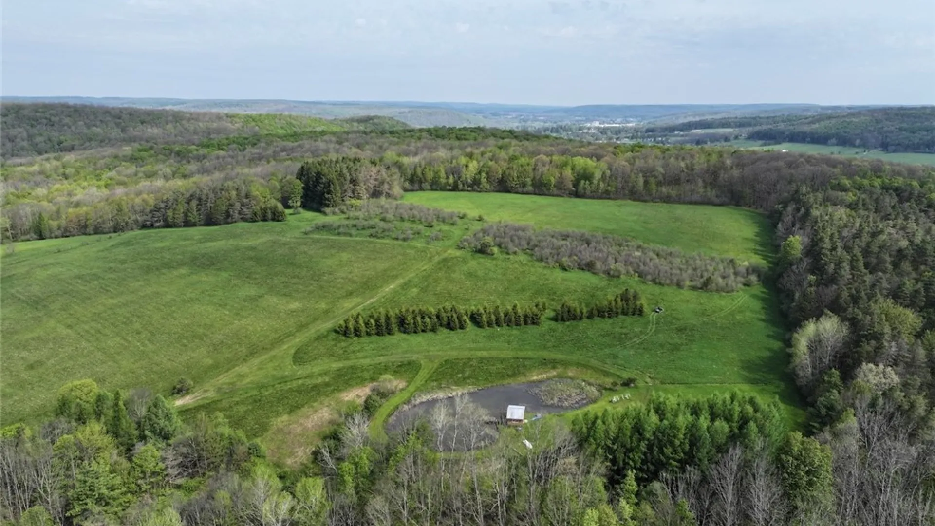 Property at E Hill Road, Franklinville, NY 14737 5