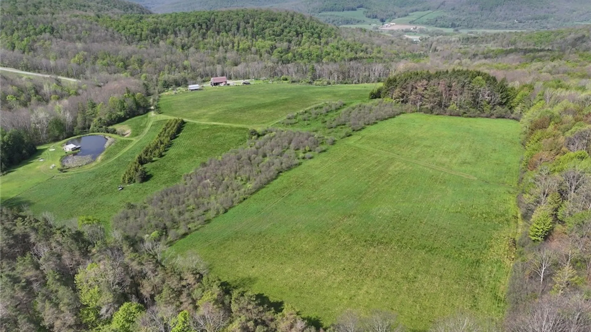 Property at E Hill Road, Franklinville, NY 14737 16