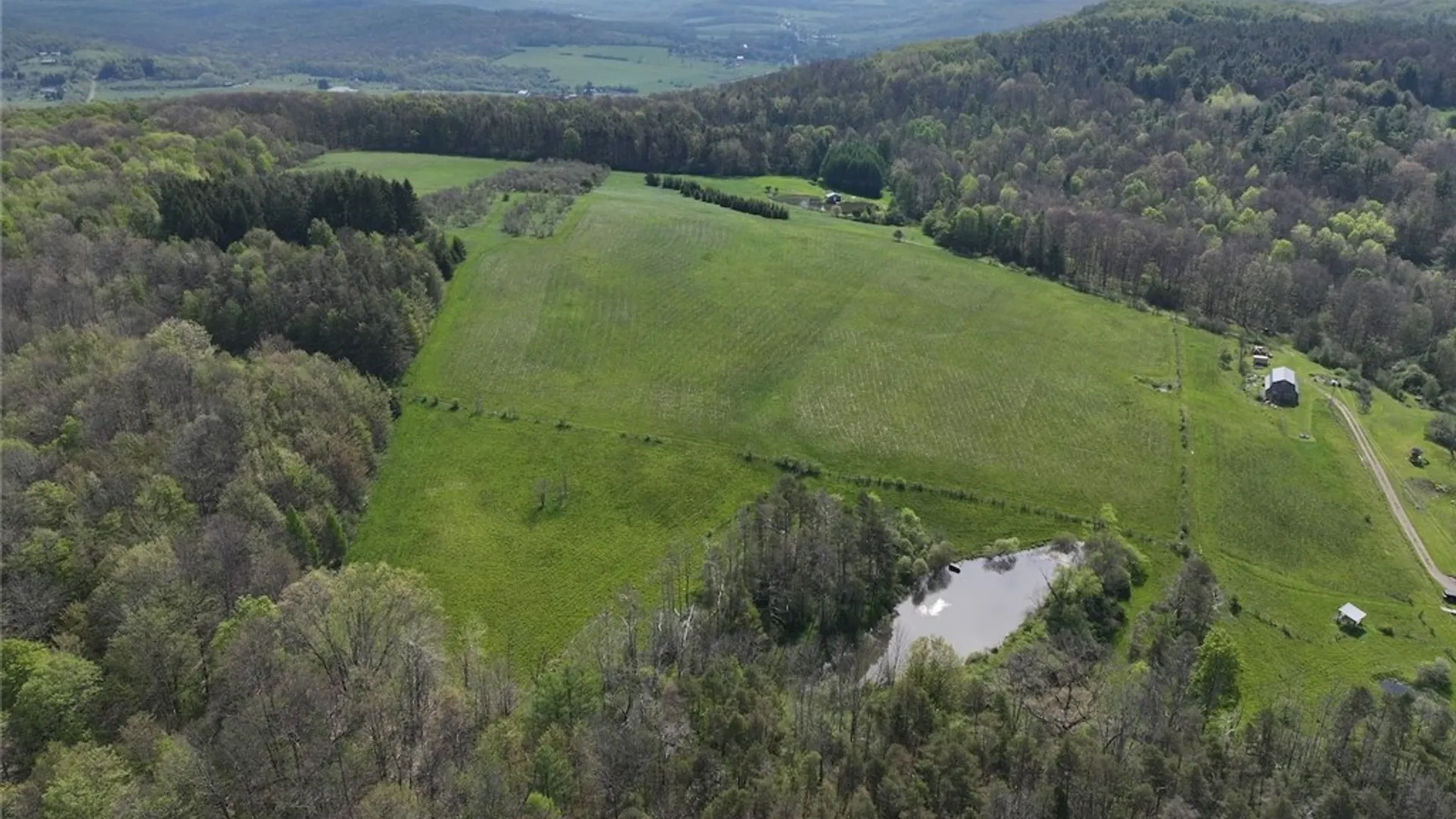Property at E Hill Road, Franklinville, NY 14737 19
