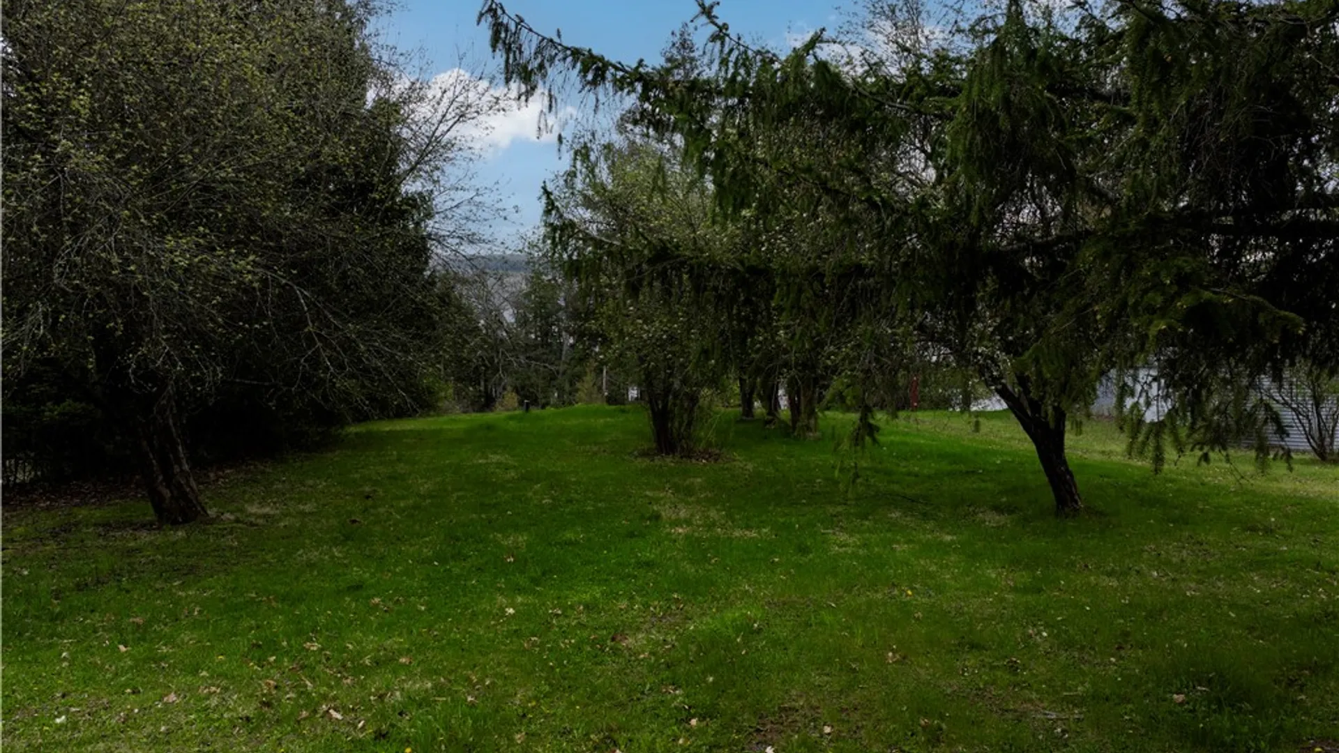 Property at 3015 Huggins Road, Orange, NY 14815 11