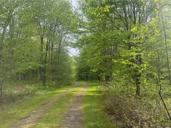 Property at Lot #9 Lost Ridge Road, Florence, NY 13316