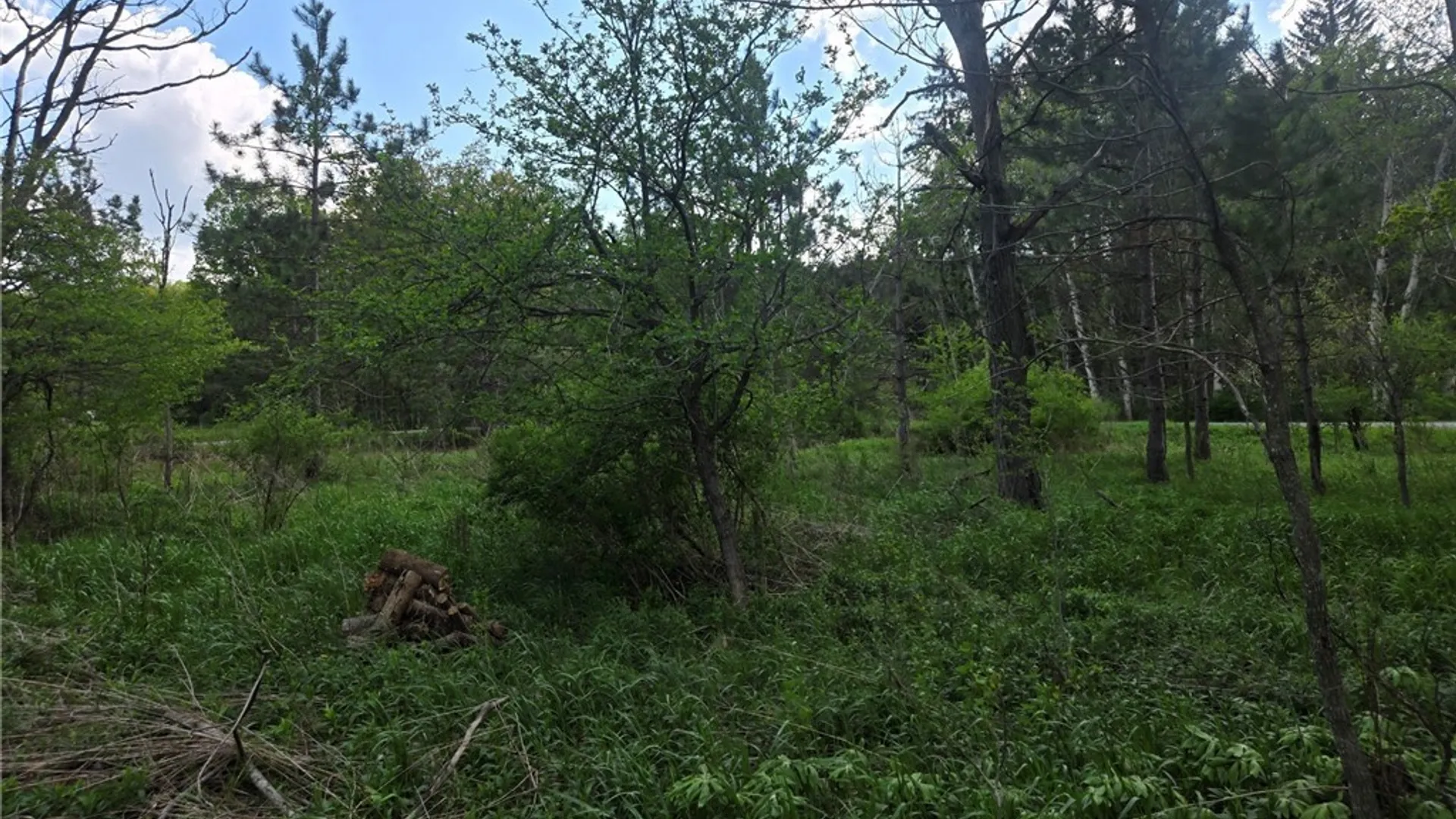 Property at Pochuck Road, Eagle, NY 14024 11