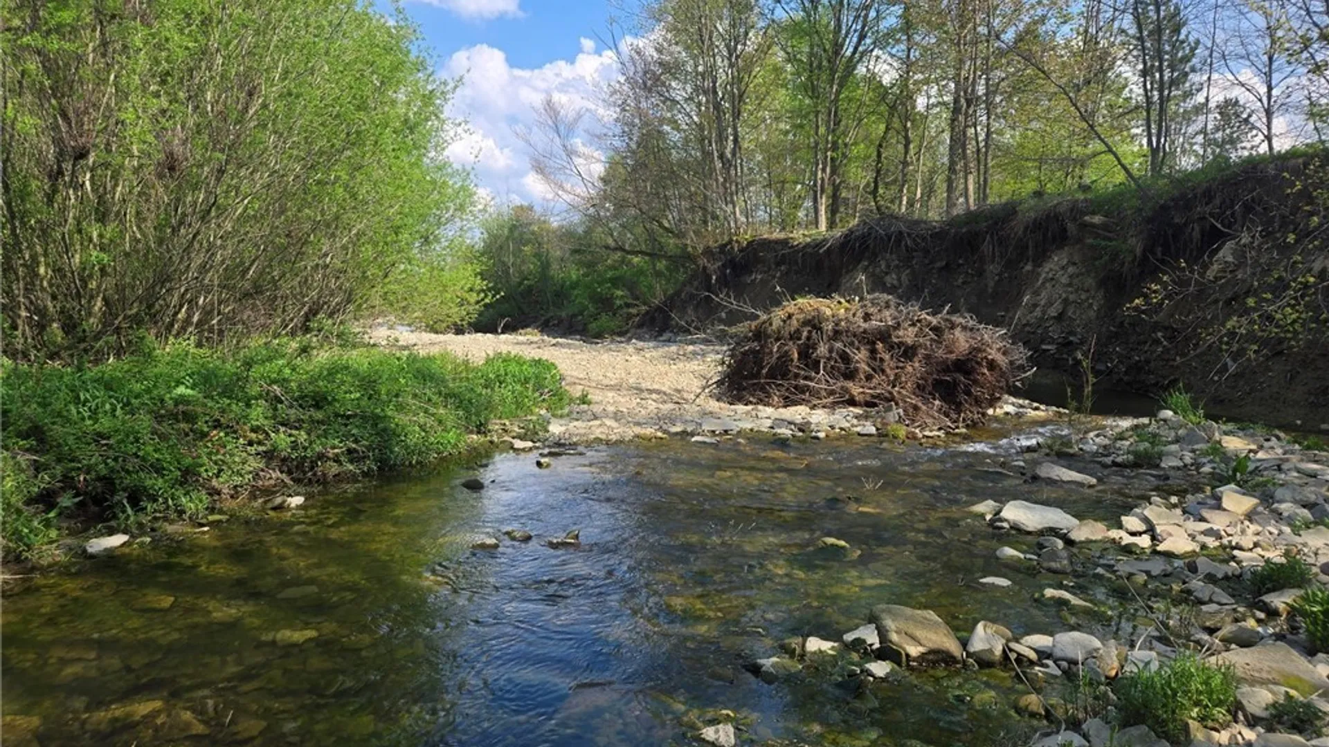 Property at Pochuck Road, Eagle, NY 14024 19