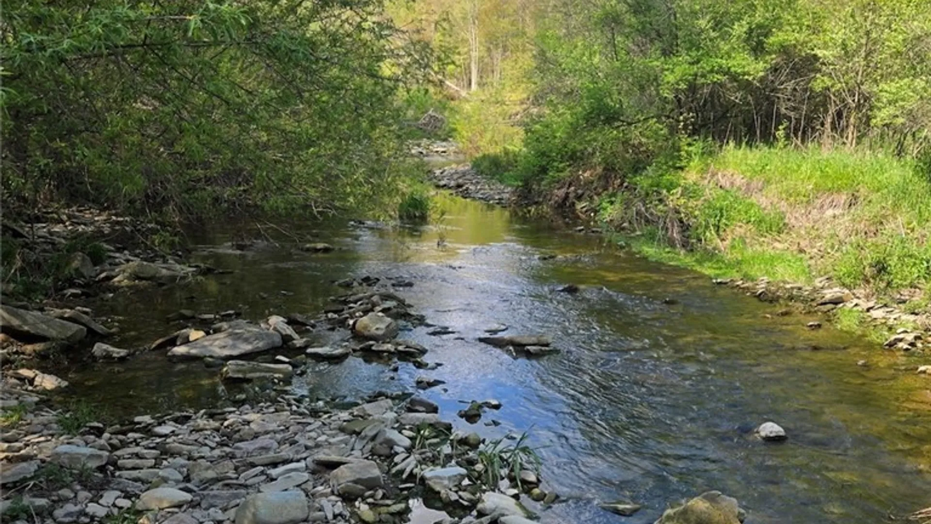 Property at Pochuck Road, Eagle, NY 14024 20