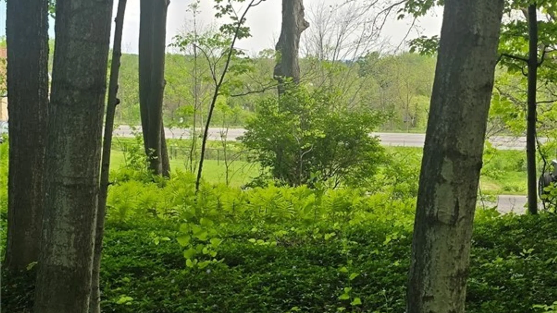 Property at Saunders Road, Kirkland, NY 13321 8