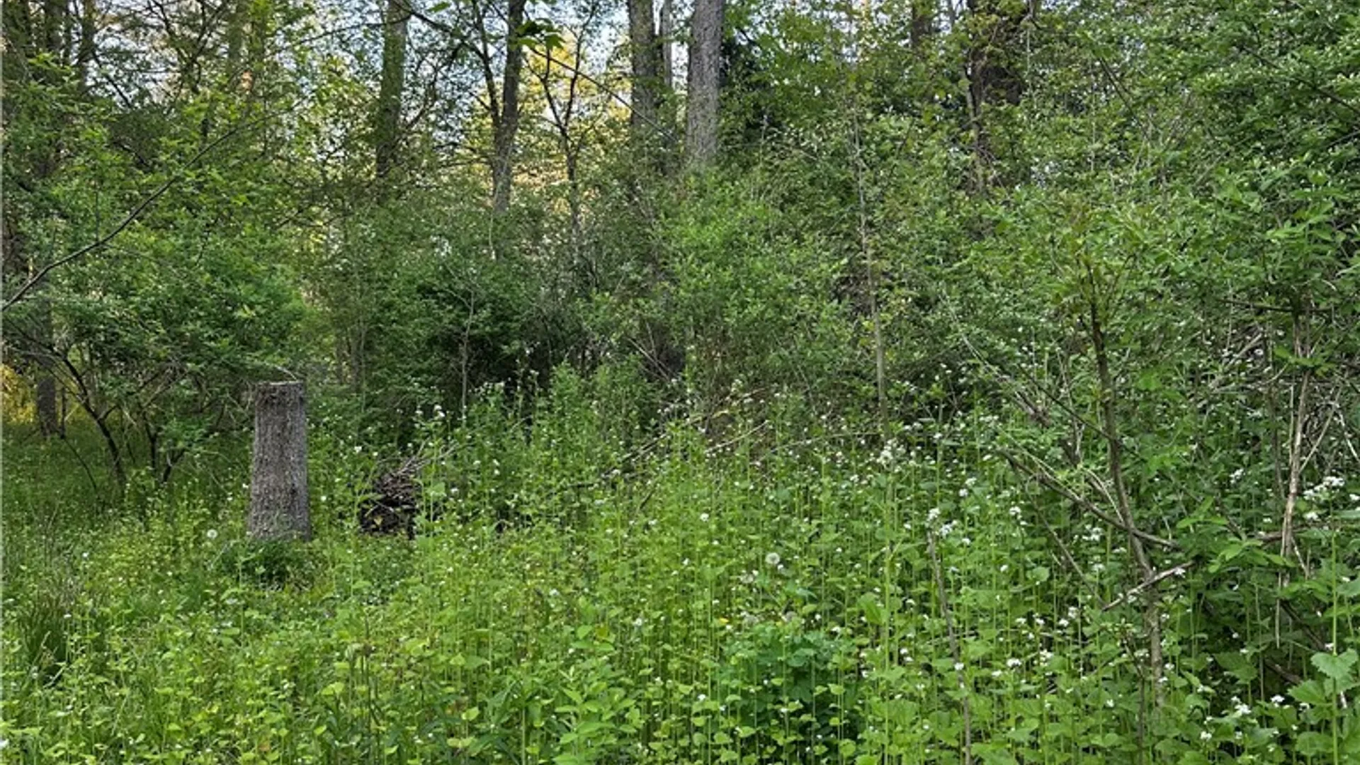 Property at 2097 County Highway 35, Masonville, NY 13849 10