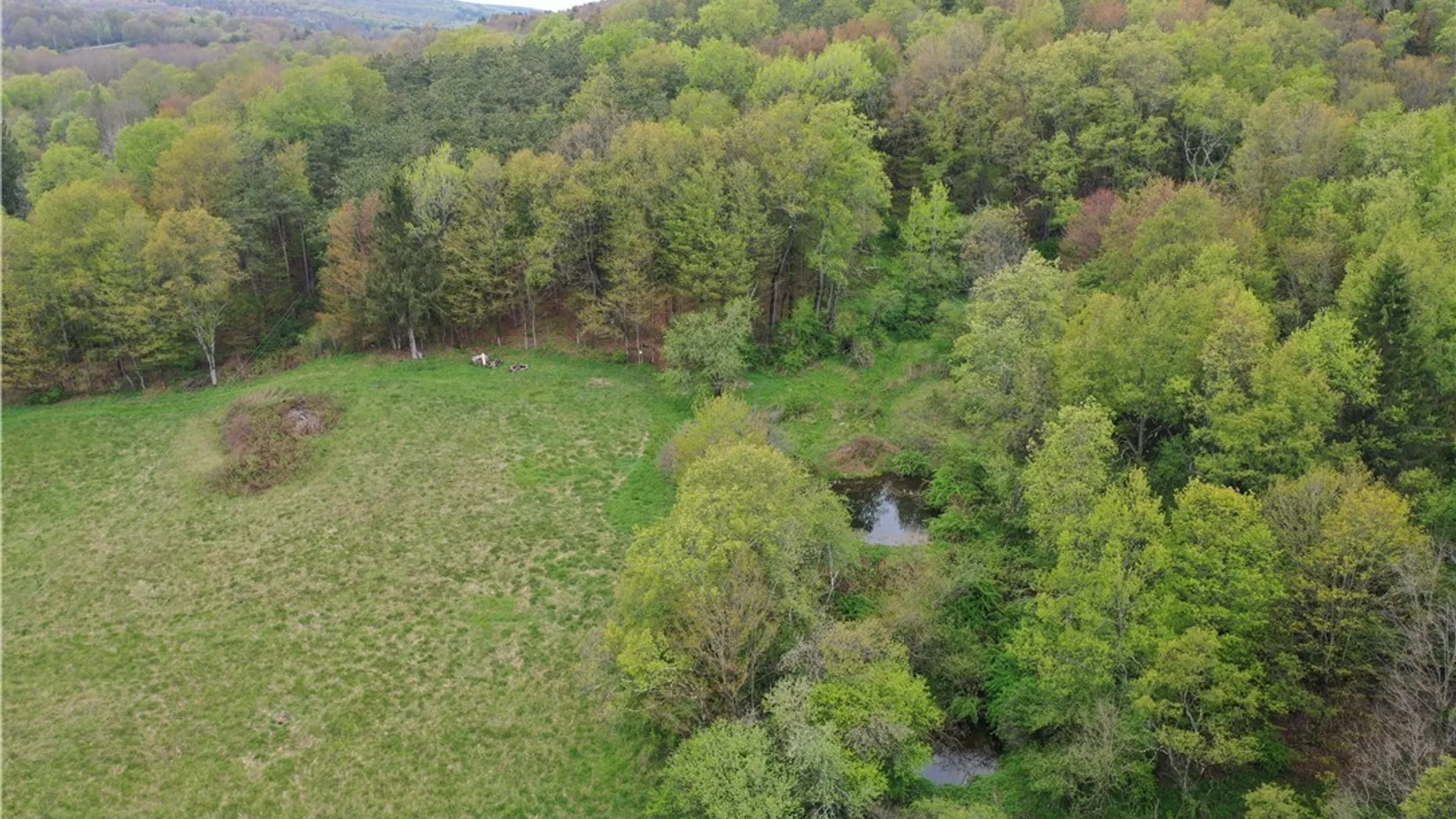 Property at 124 Ridge Road, Otselic, NY 13155 23