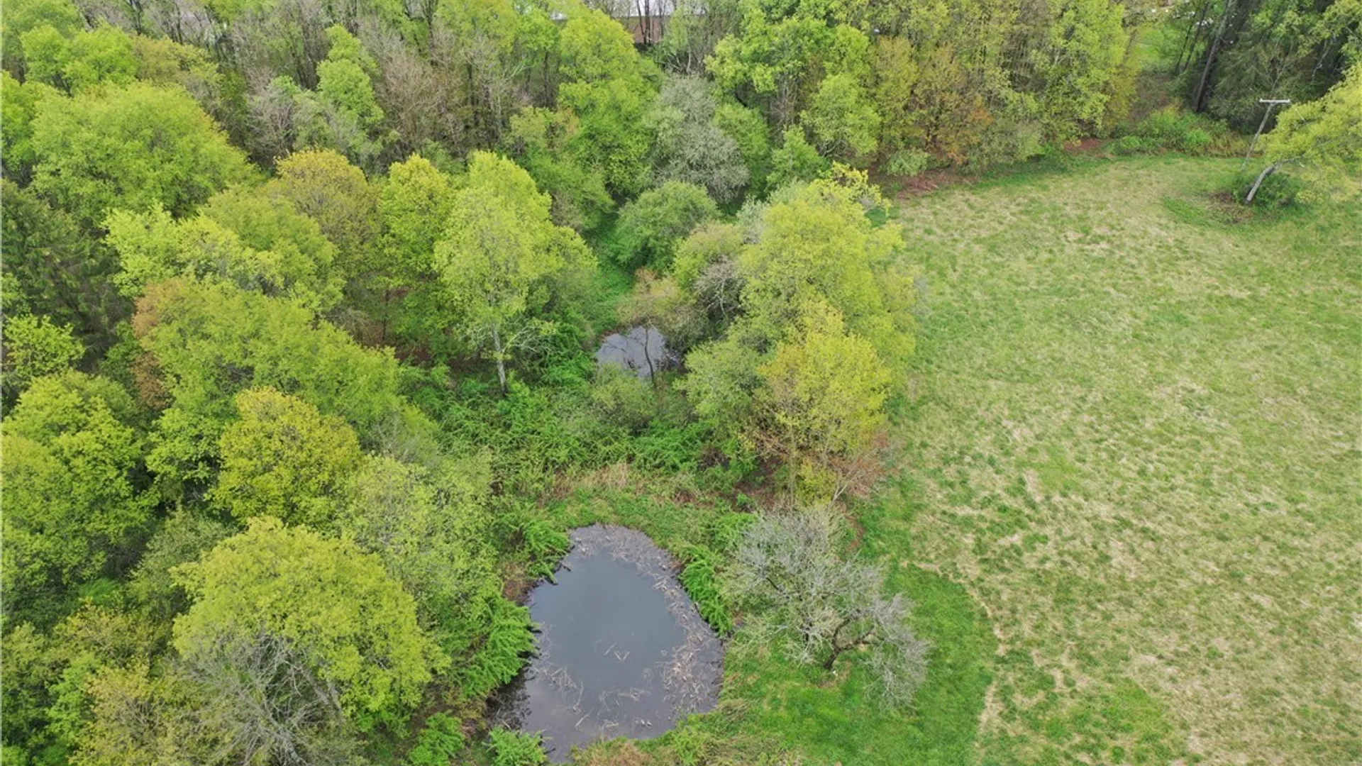 Property at 124 Ridge Road, Otselic, NY 13155 22