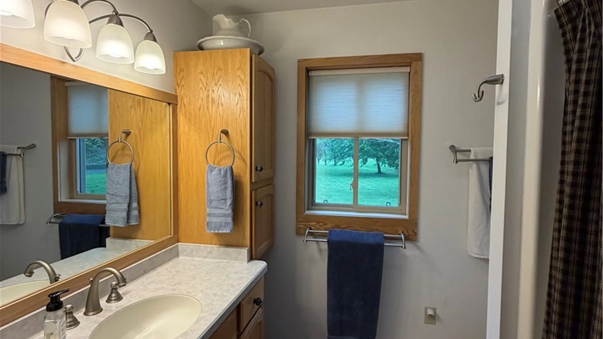 Property at 4707 Cotton Hanlon Road, Montour, NY 14865 13