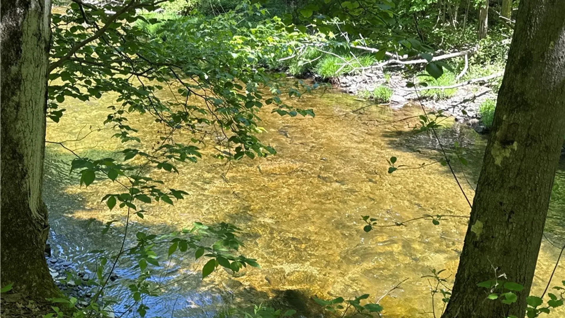 Property at 10 Buchanan Place, Sandy Creek, NY 13145 12