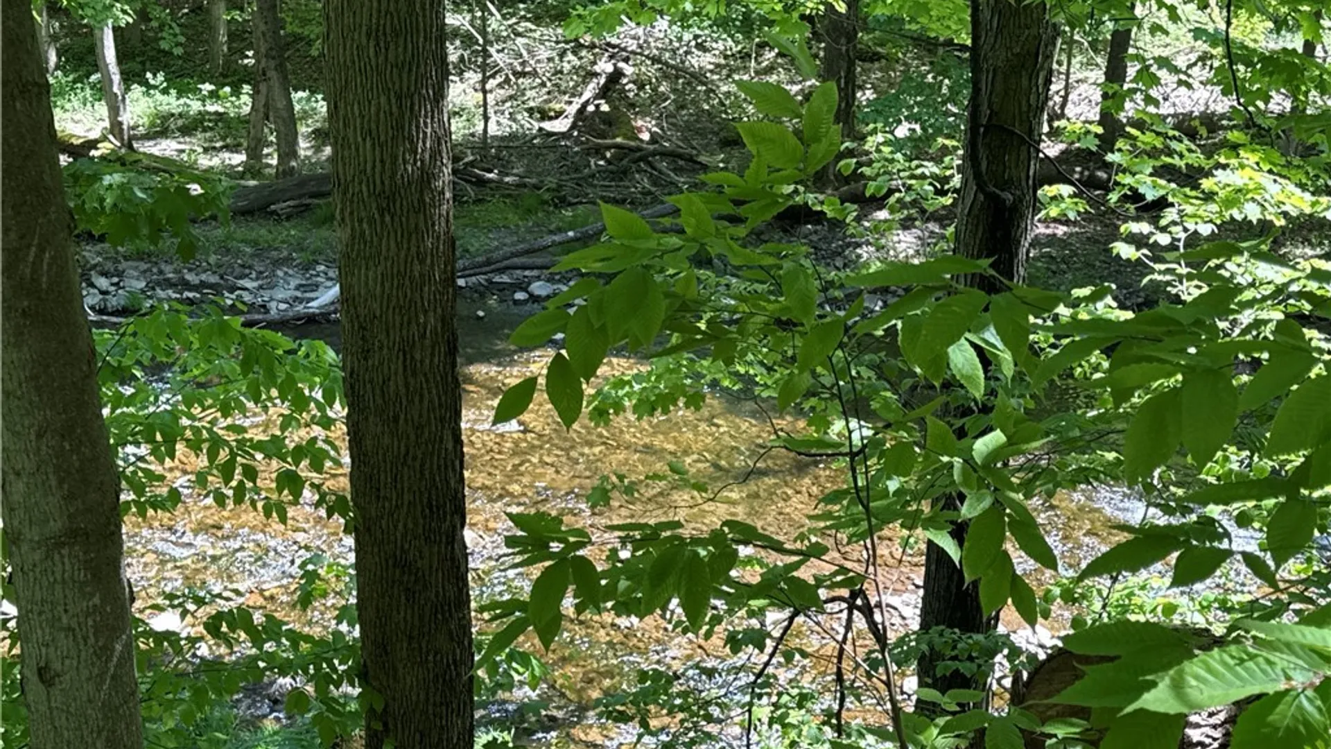 Property at 10 Buchanan Place, Sandy Creek, NY 13145 15
