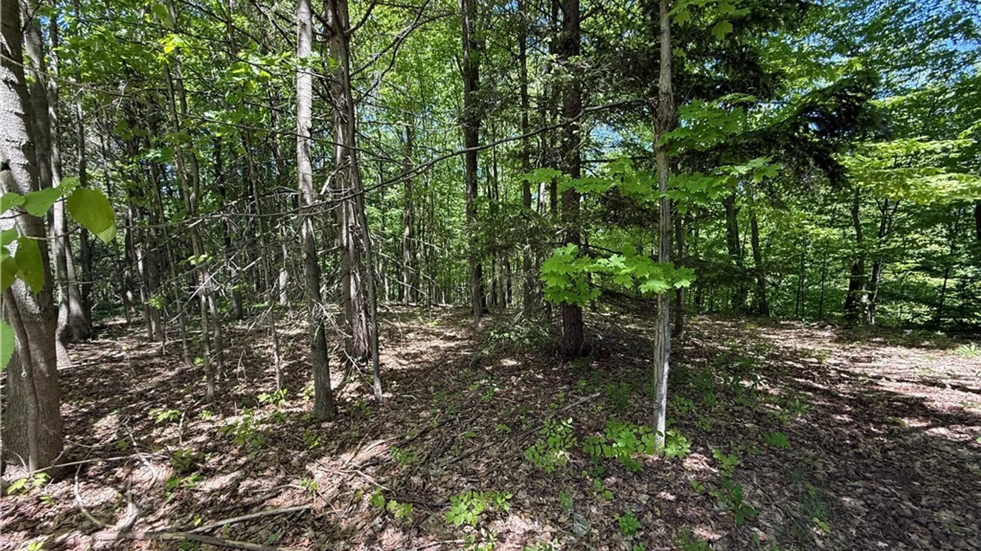 Property at 10 Buchanan Place, Sandy Creek, NY 13145 20