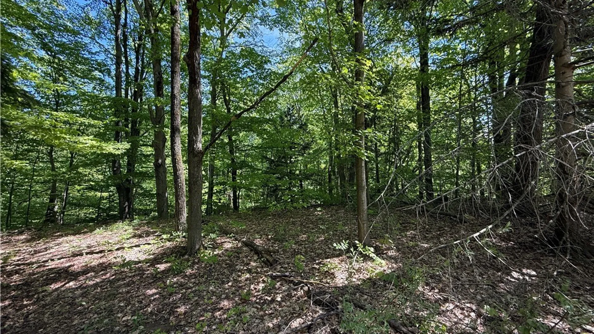 Property at 10 Buchanan Place, Sandy Creek, NY 13145 21