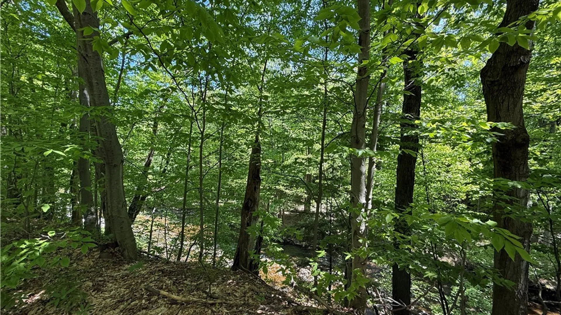 Property at 10 Buchanan Place, Sandy Creek, NY 13145 22