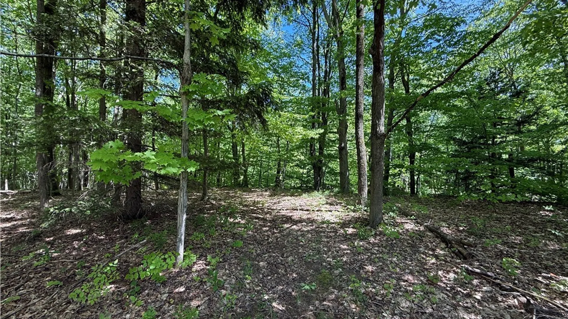 Property at 10 Buchanan Place, Sandy Creek, NY 13145 23