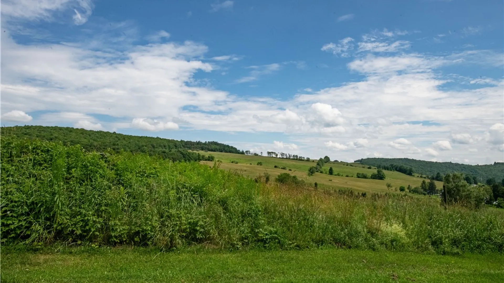 Property at 2690 Freer Hollow Road, Franklin, NY 13755 28
