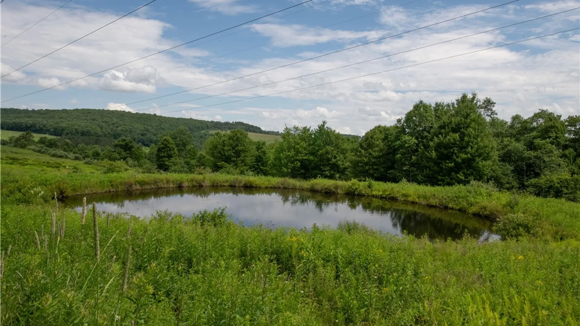 Property at 2690 Freer Hollow Road, Franklin, NY 13755 29