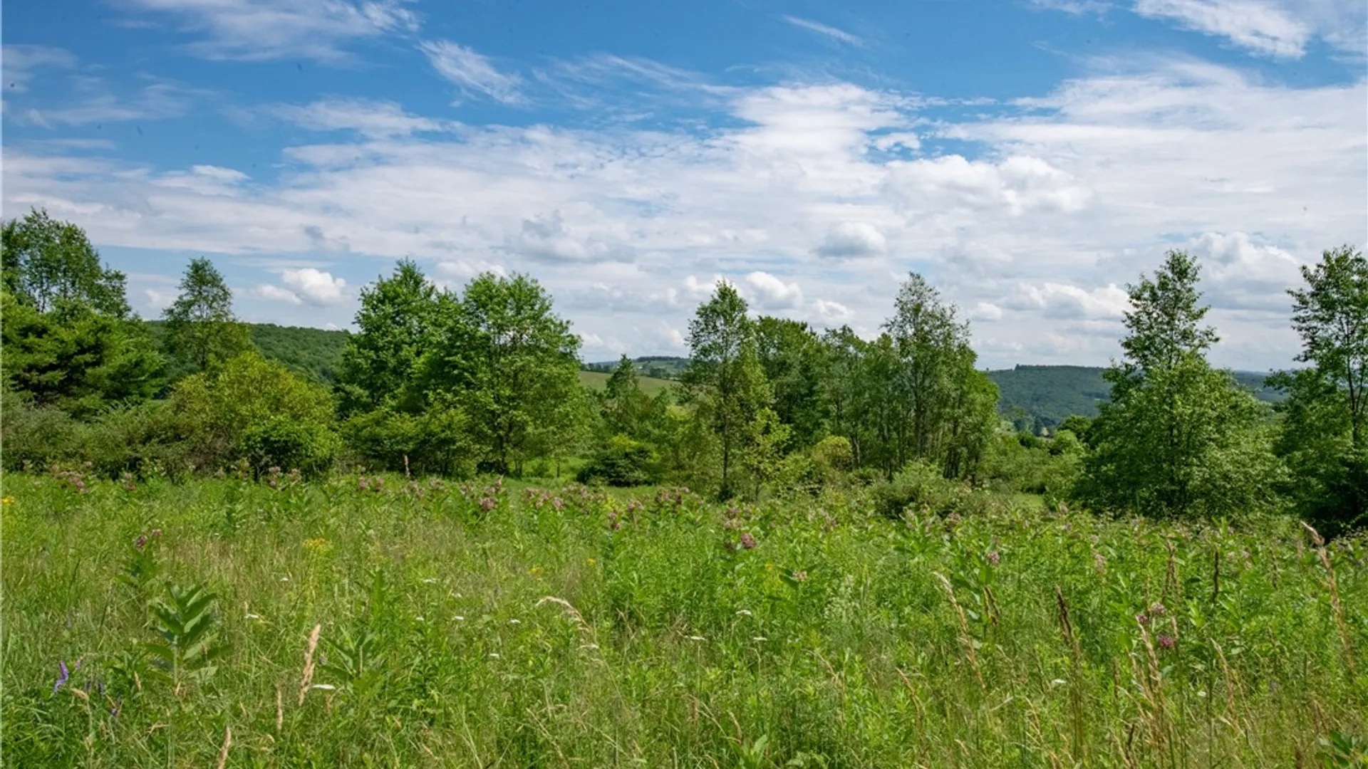 Property at 2690 Freer Hollow Road, Franklin, NY 13755 30