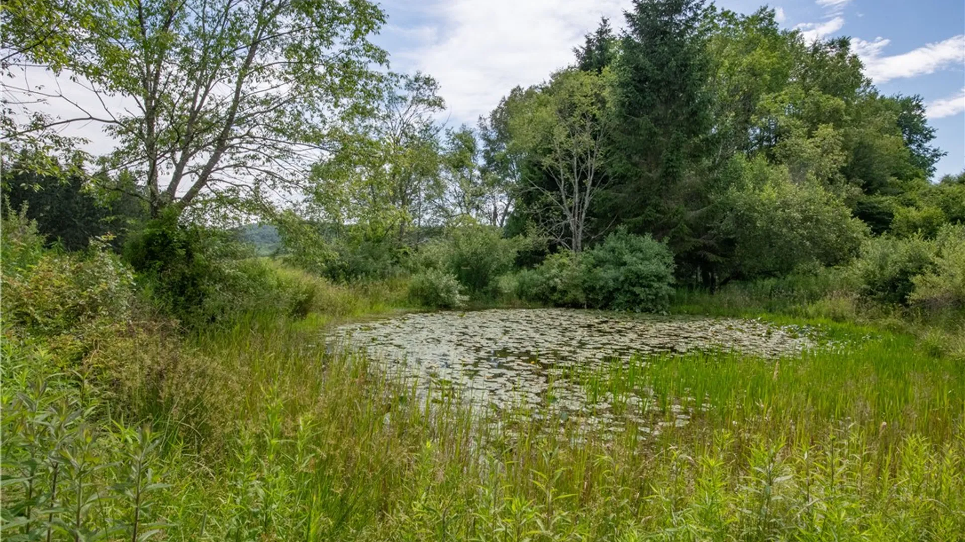 Property at 2690 Freer Hollow Road, Franklin, NY 13755 34
