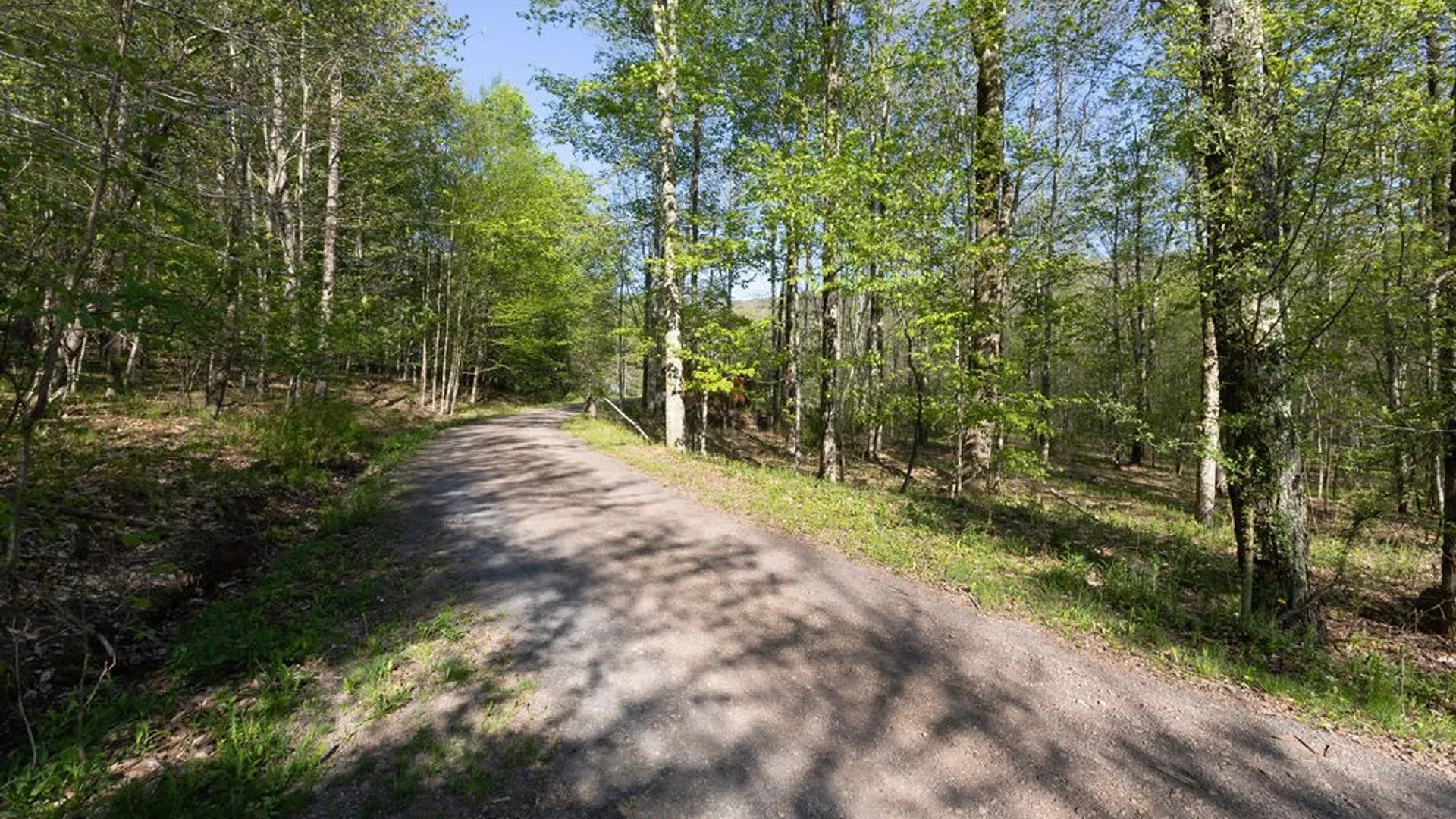 Property at 1766 Mountain Brook Road, Bovina, NY 13740 12