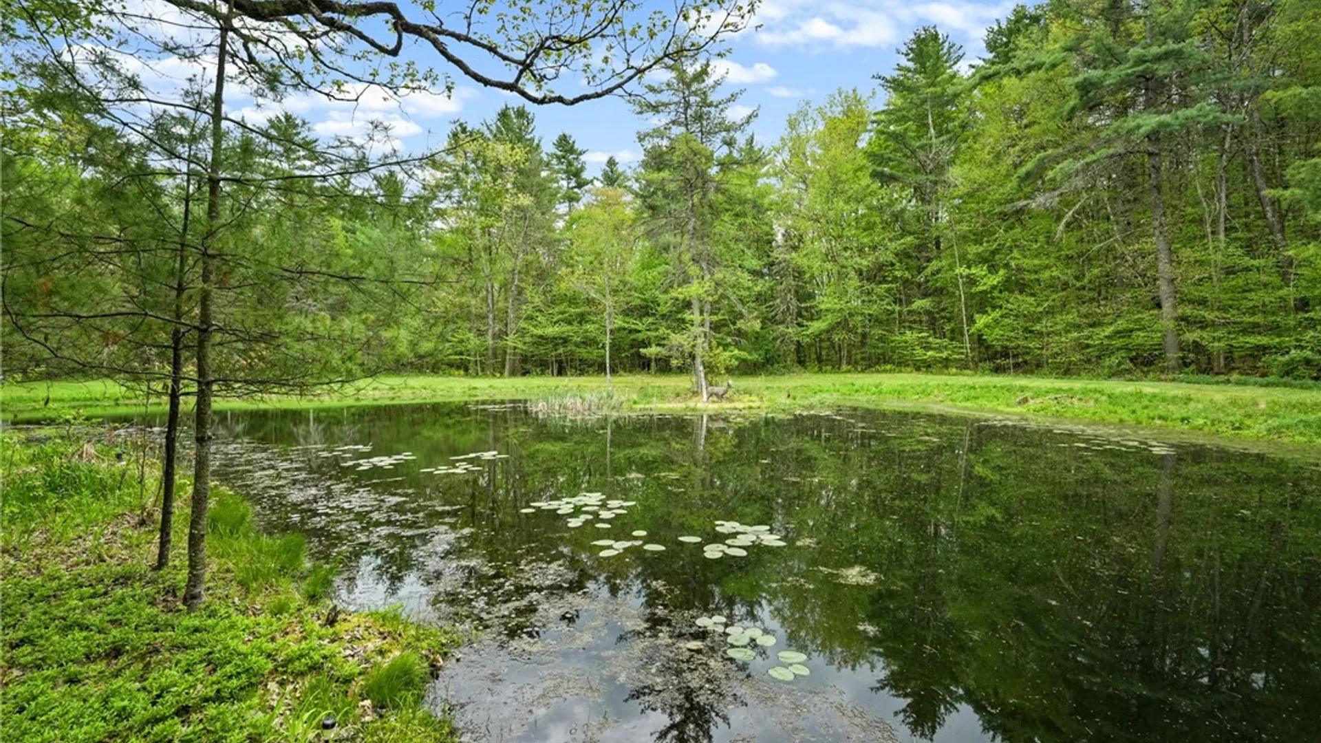 Property at 1028 Copes Corners Road, Butternuts, NY 13776 20