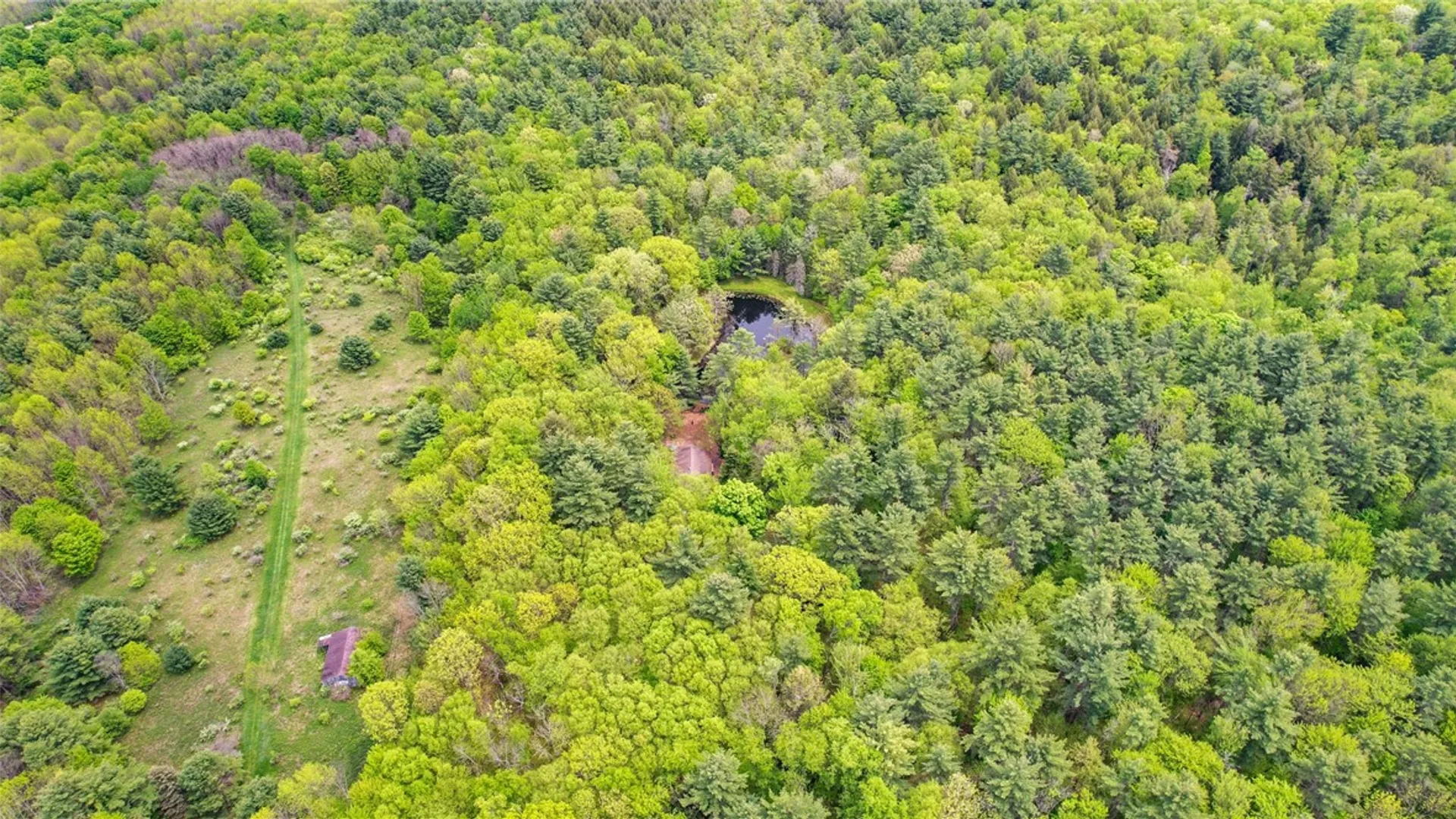 Property at 1028 Copes Corners Road, Butternuts, NY 13776 33