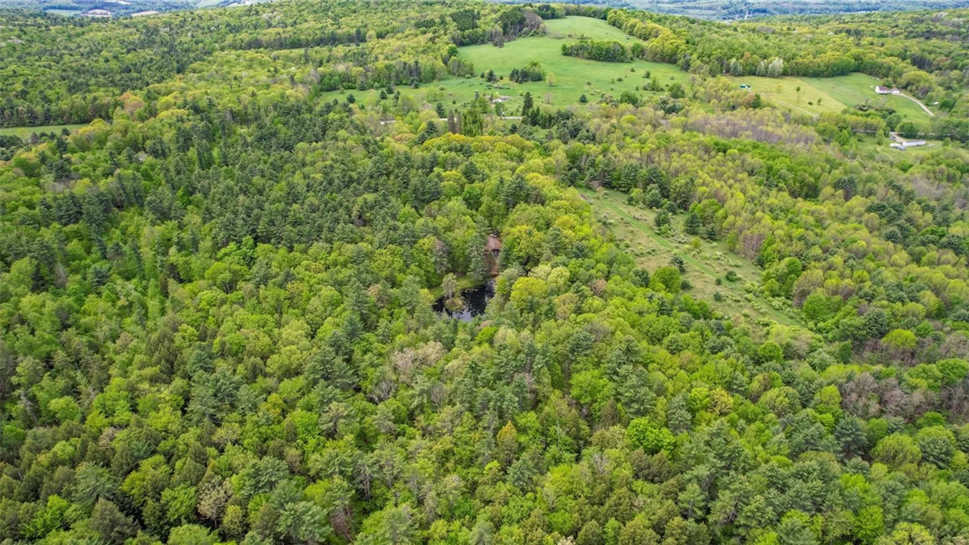 Property at 1028 Copes Corners Road, Butternuts, NY 13776 34