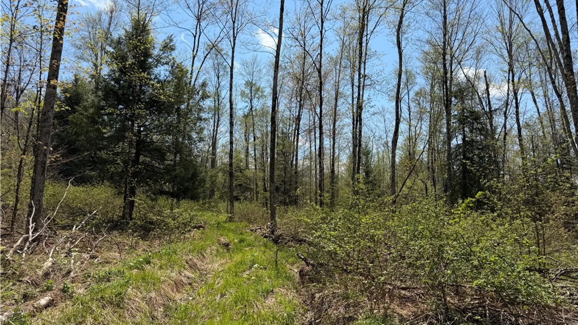 Property at Lot 1 County Road 16, Grove, NY 14884 18