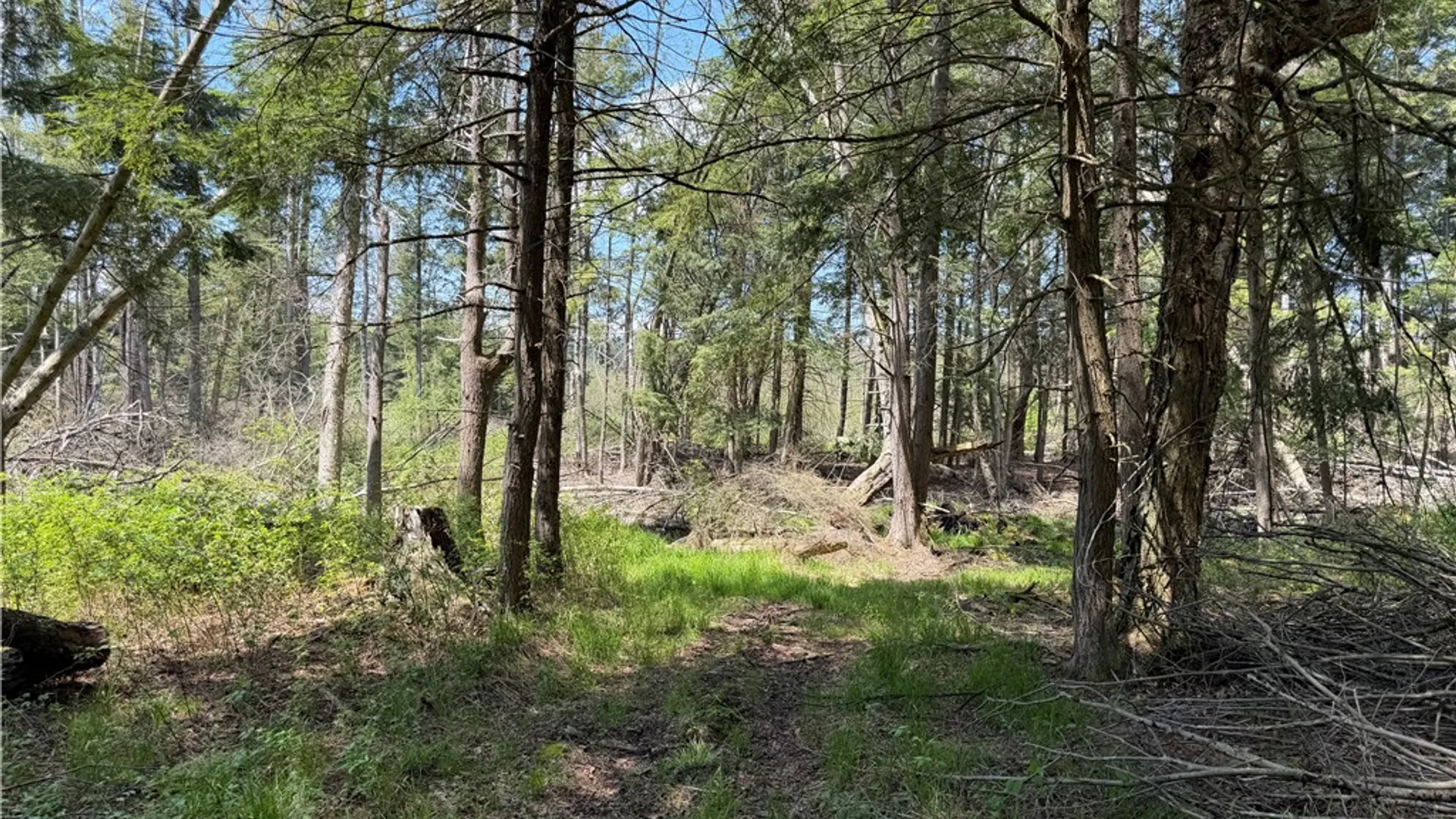 Property at Lot 1 County Road 16, Grove, NY 14884 21