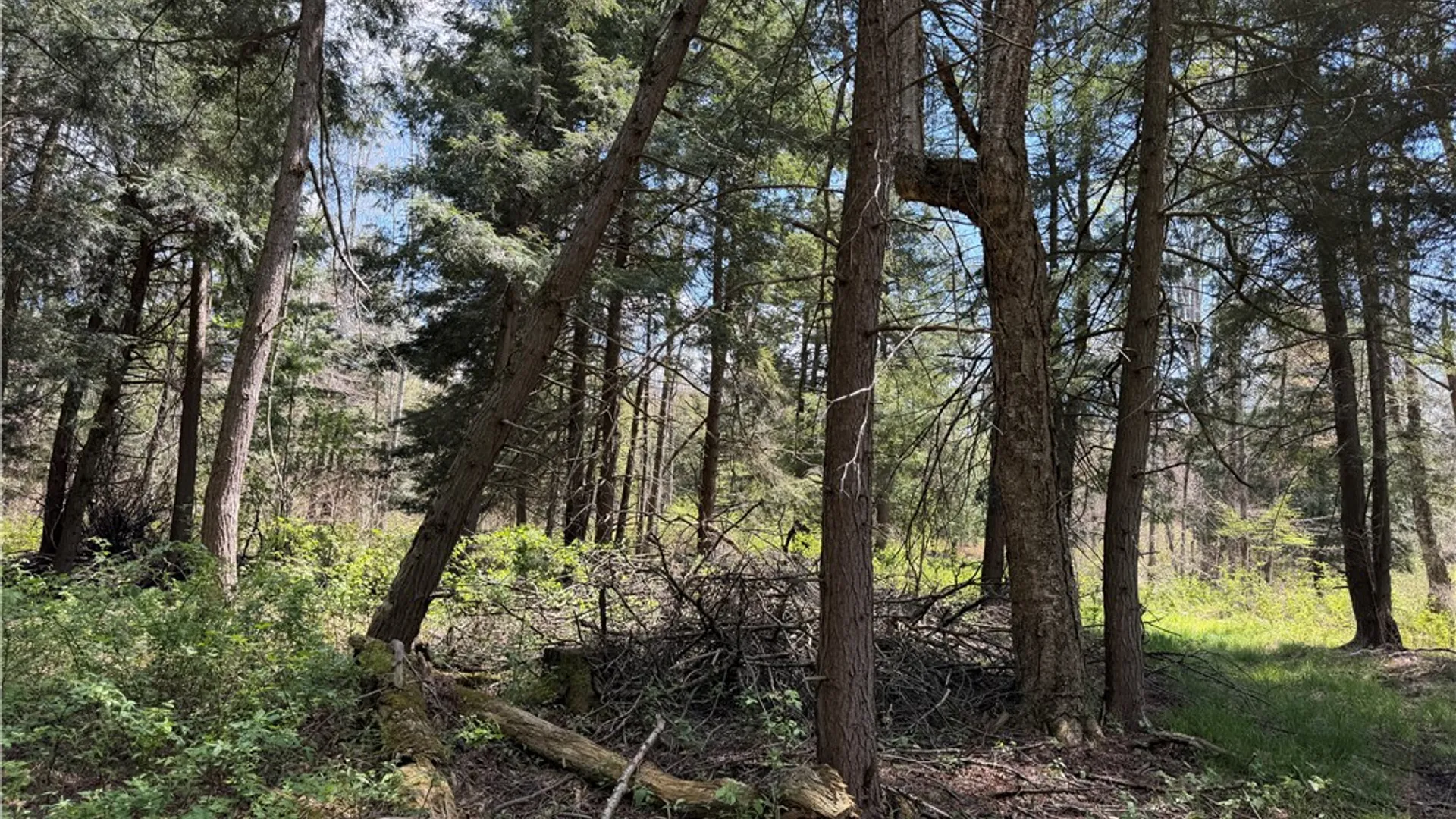 Property at Lot 1 County Road 16, Grove, NY 14884 22