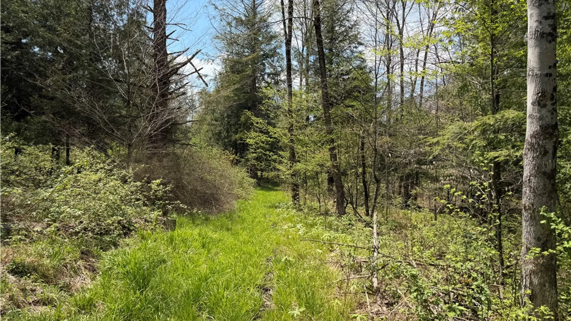 Property at Lot 1 County Road 16, Grove, NY 14884 23