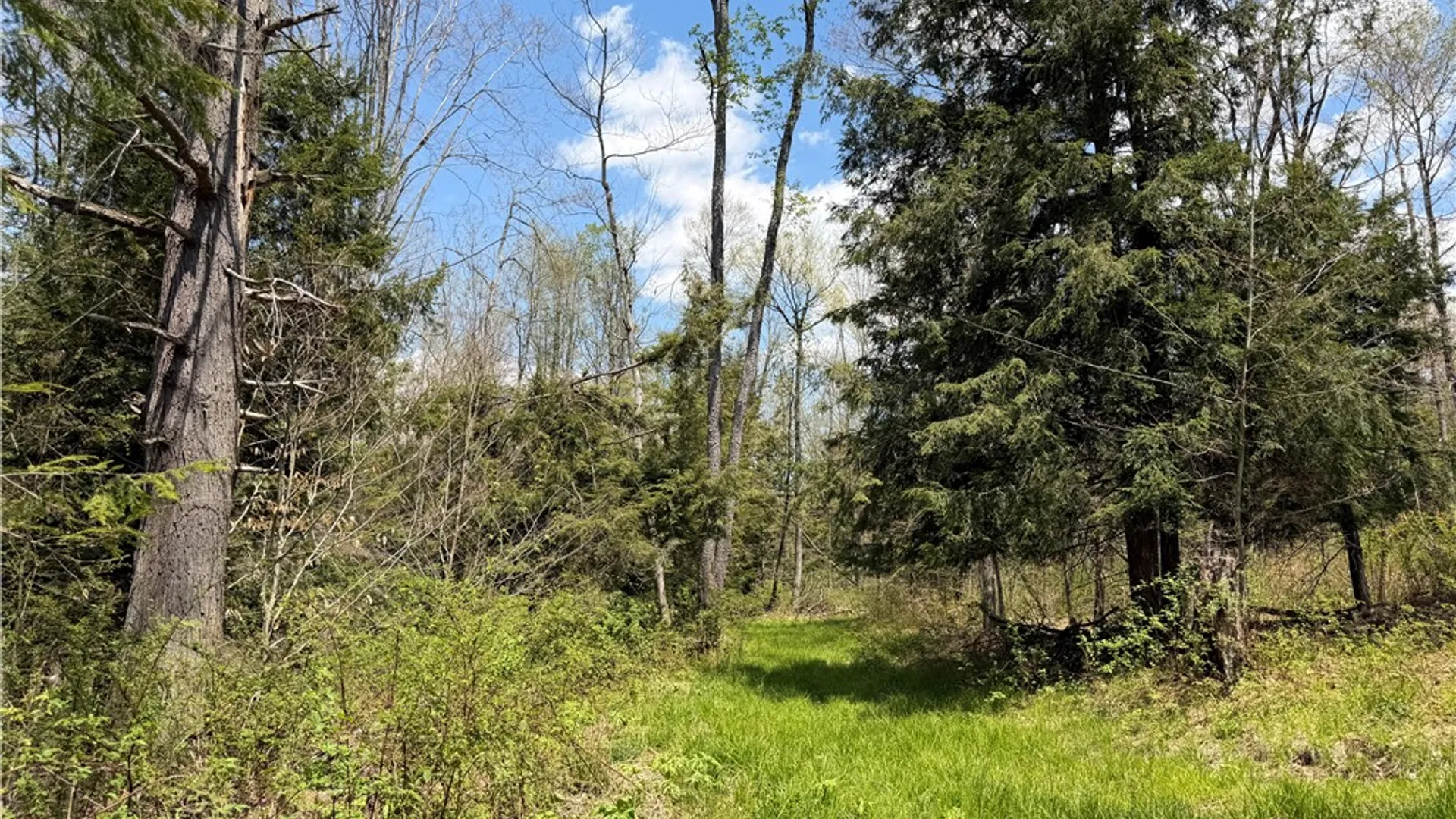 Property at Lot 1 County Road 16, Grove, NY 14884 24