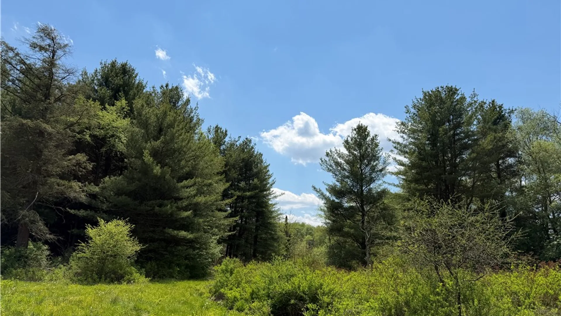 Property at Lot 1 County Road 16, Grove, NY 14884 25