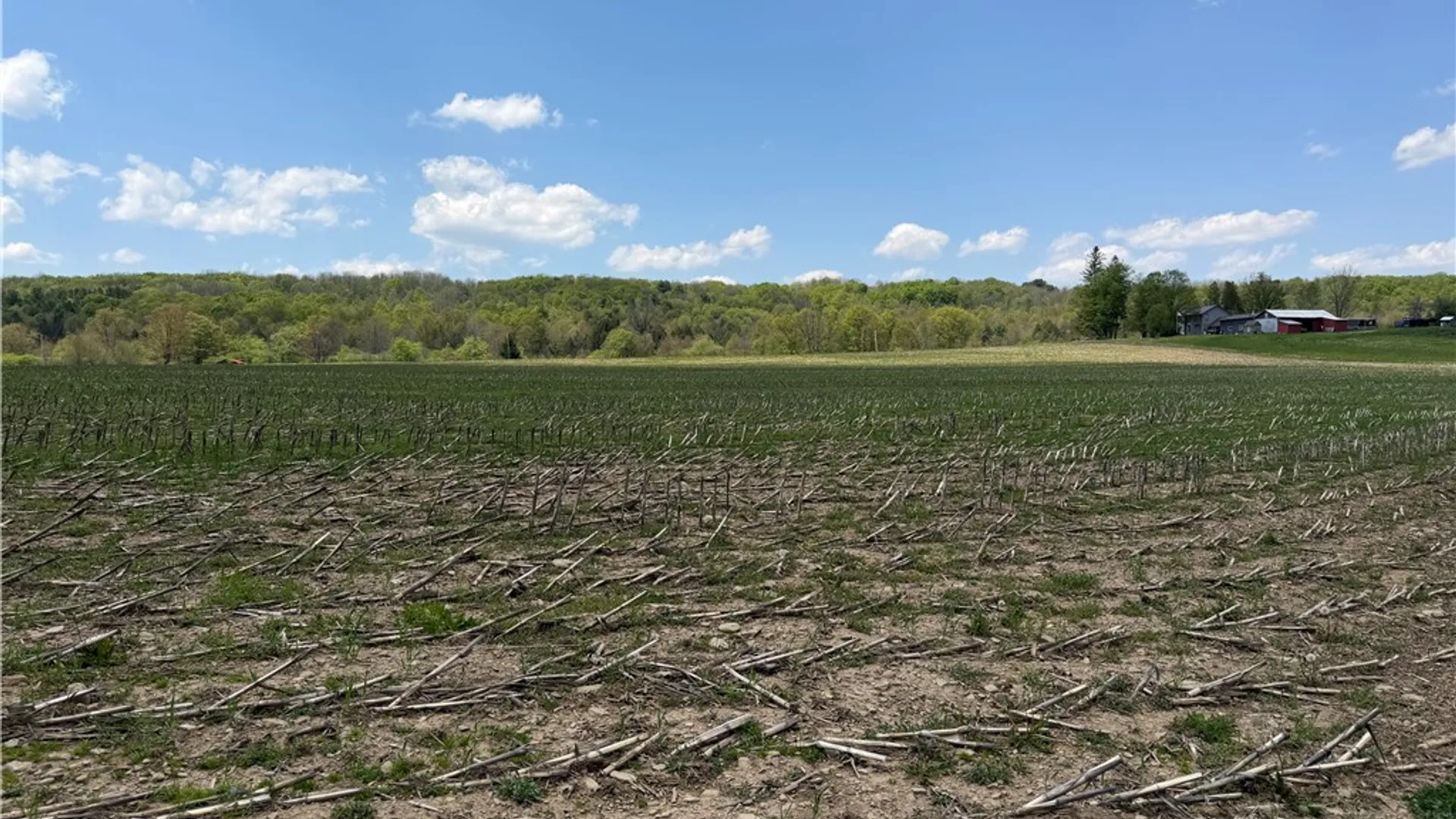 Property at Lot 1 County Road 16, Grove, NY 14884 26