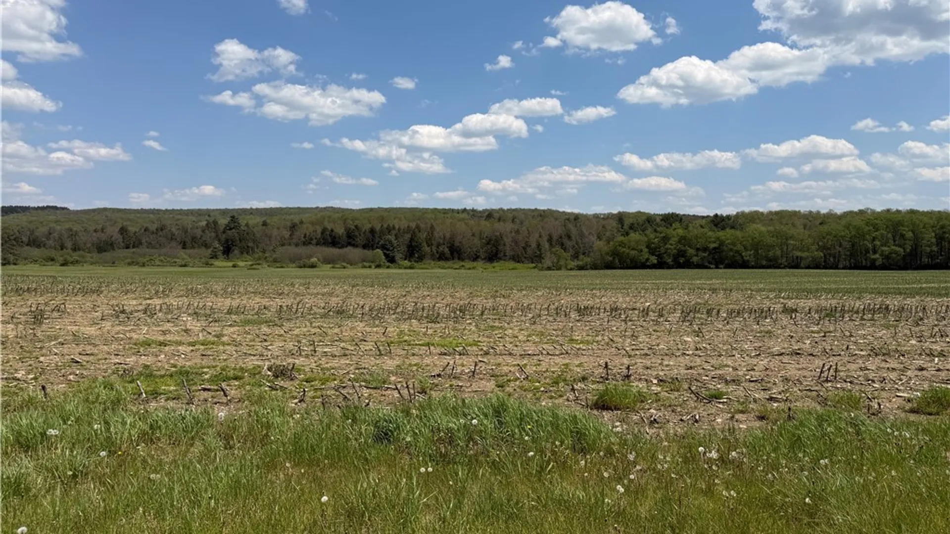 Property at Lot 1 County Road 16, Grove, NY 14884 30