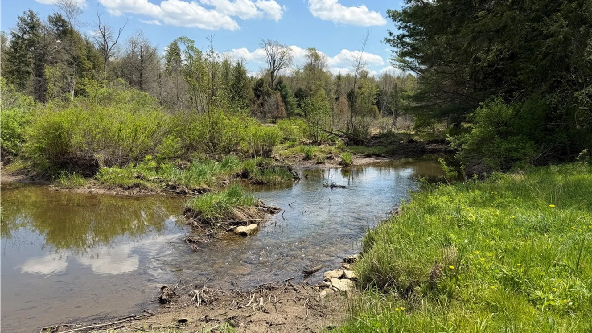 Property at Lot 1 County Road 16, Grove, NY 14884 3