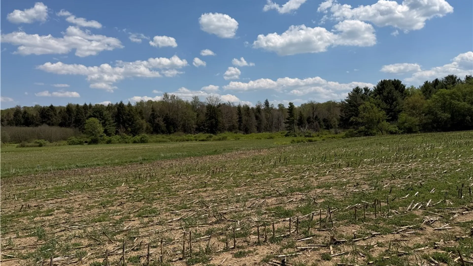 Property at Lot 1 County Road 16, Grove, NY 14884 5