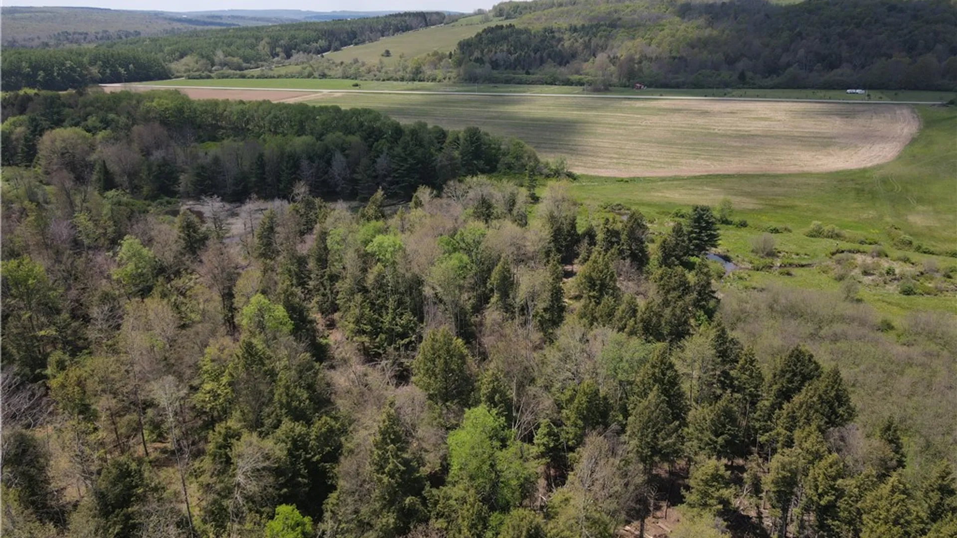 Property at Lot 1 County Road 16, Grove, NY 14884 6