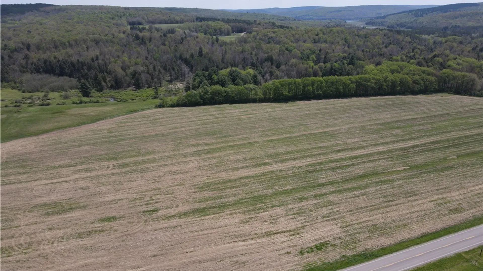 Property at Lot 1 County Road 16, Grove, NY 14884 7