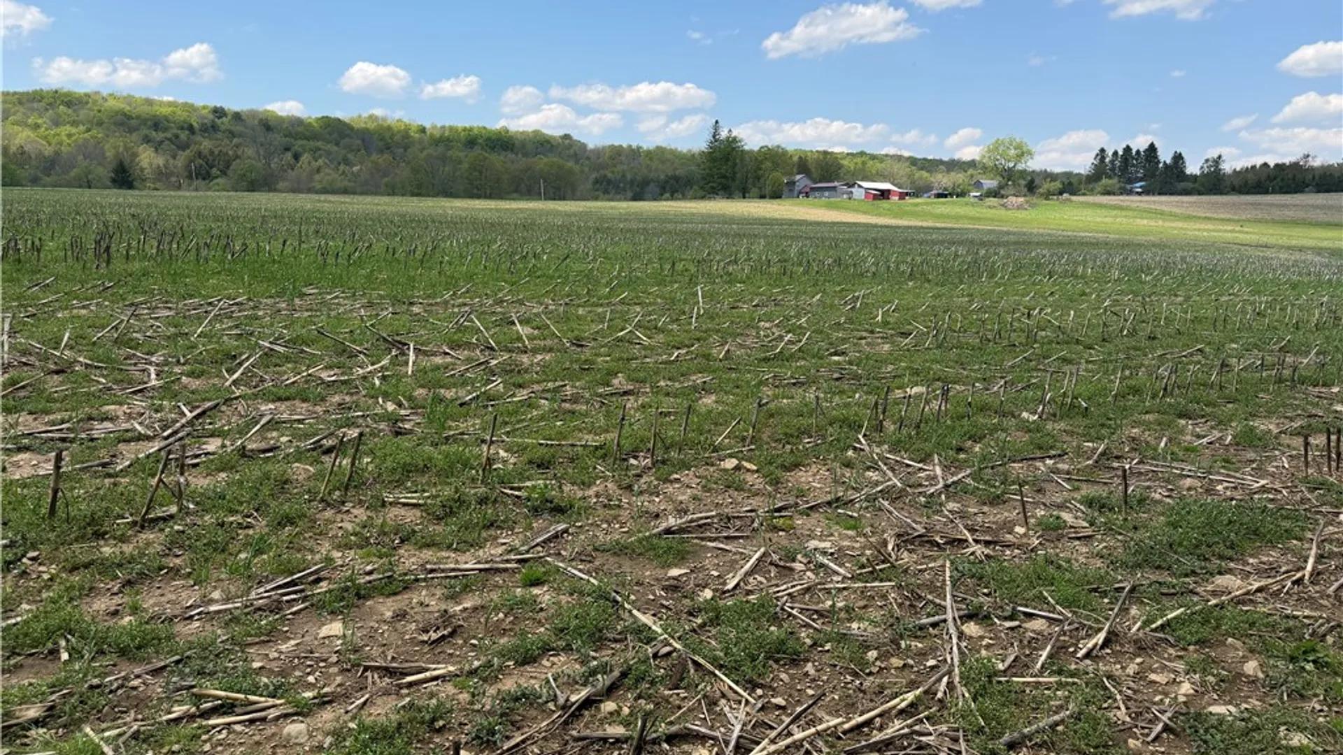 Property at Lot 1 County Road 16, Grove, NY 14884 9