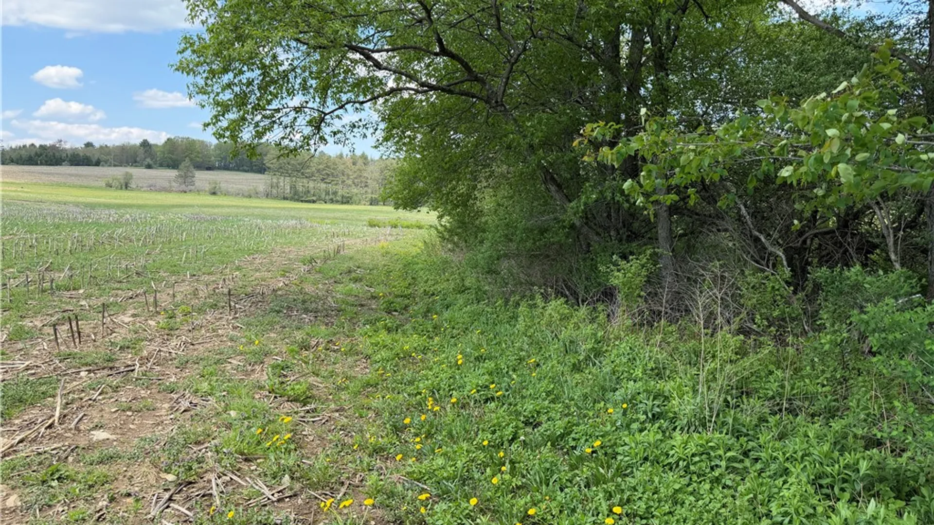 Property at Lot 1 County Road 16, Grove, NY 14884 10