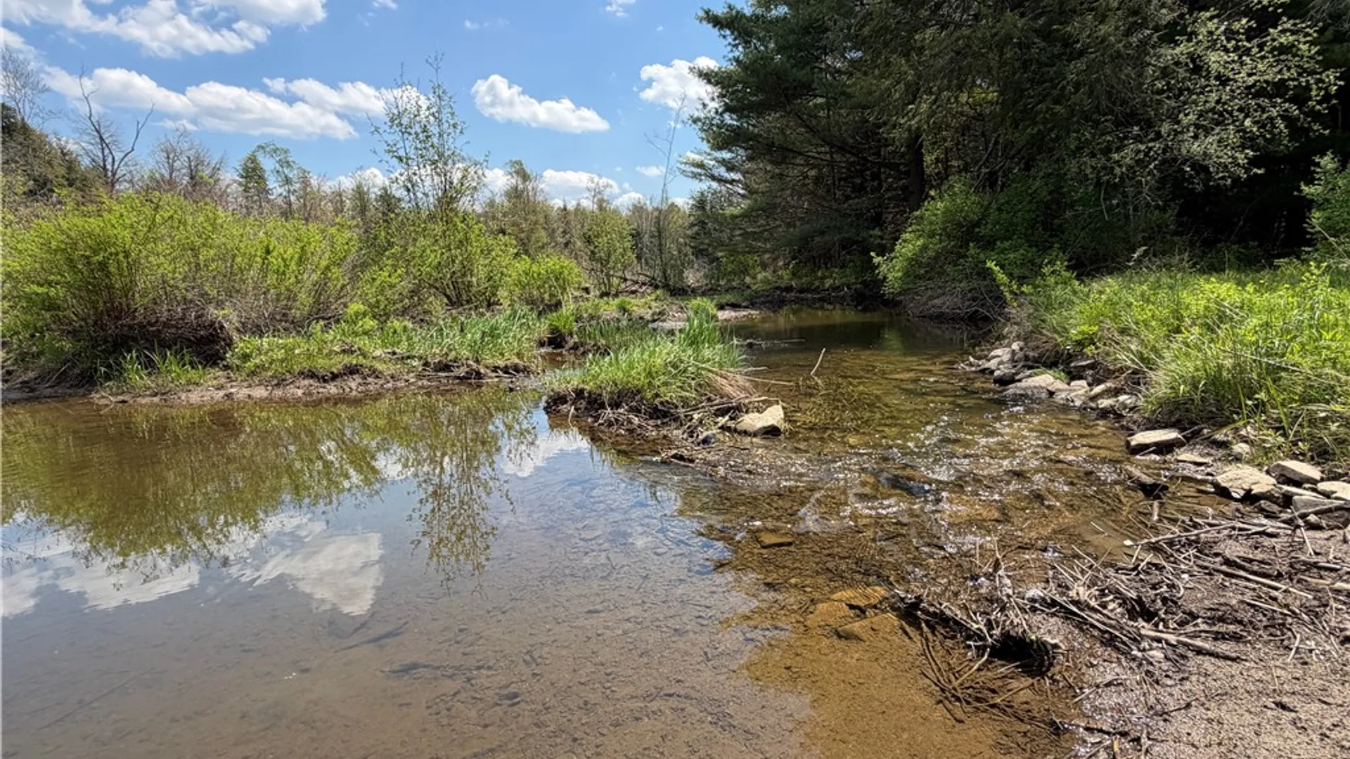 Property at Lot 1 County Road 16, Grove, NY 14884 11