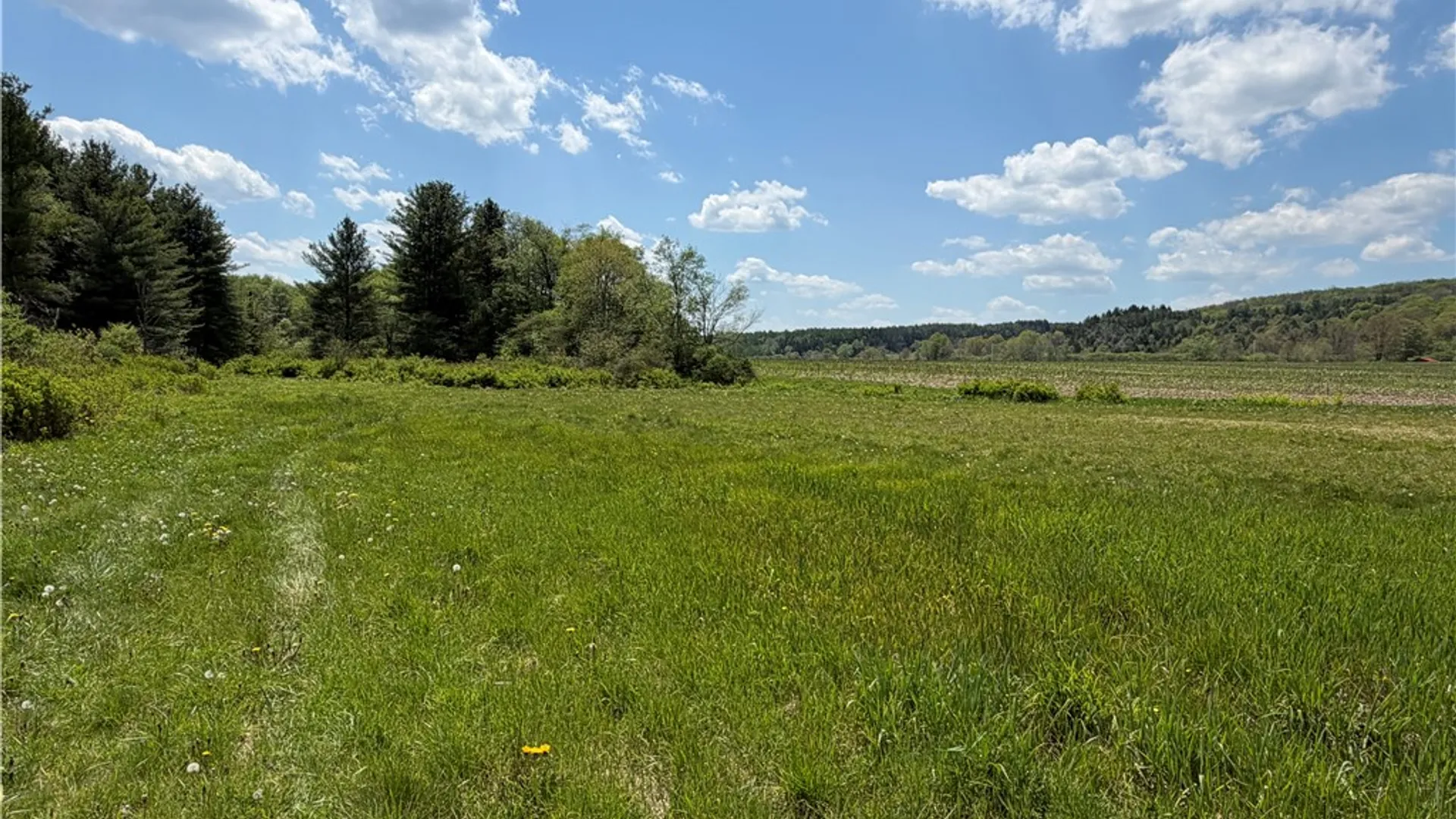 Property at Lot 1 County Road 16, Grove, NY 14884 12