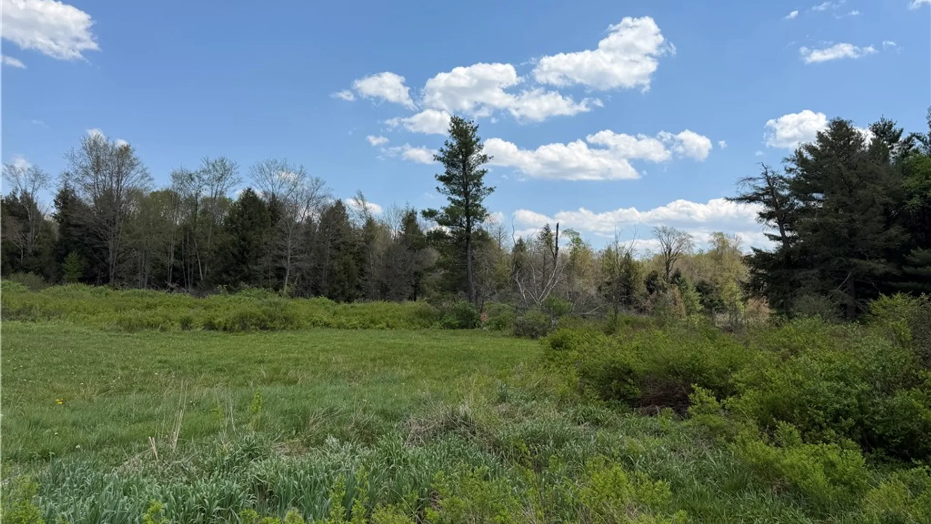 Property at Lot 1 County Road 16, Grove, NY 14884 13