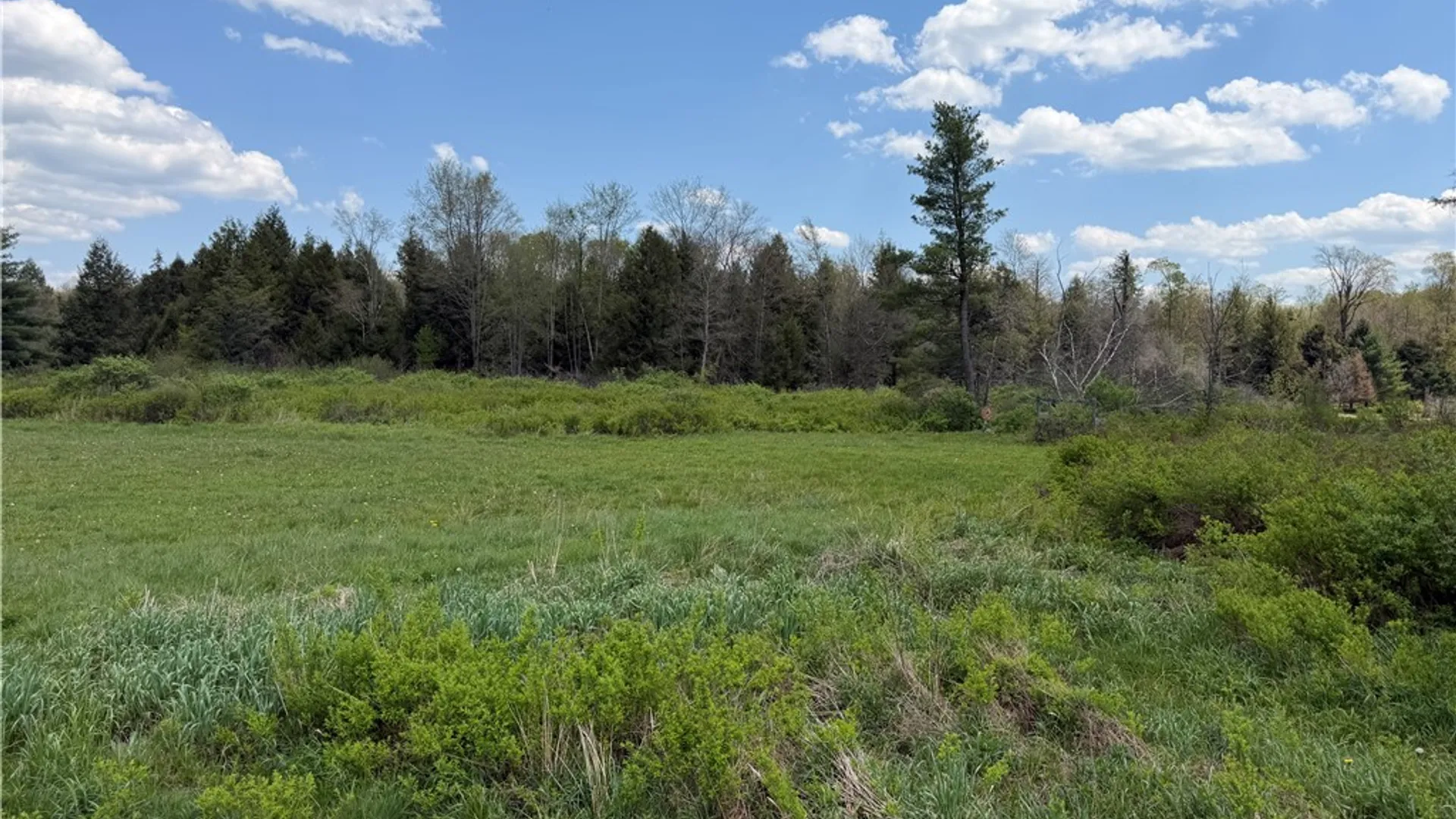 Property at Lot 1 County Road 16, Grove, NY 14884 14