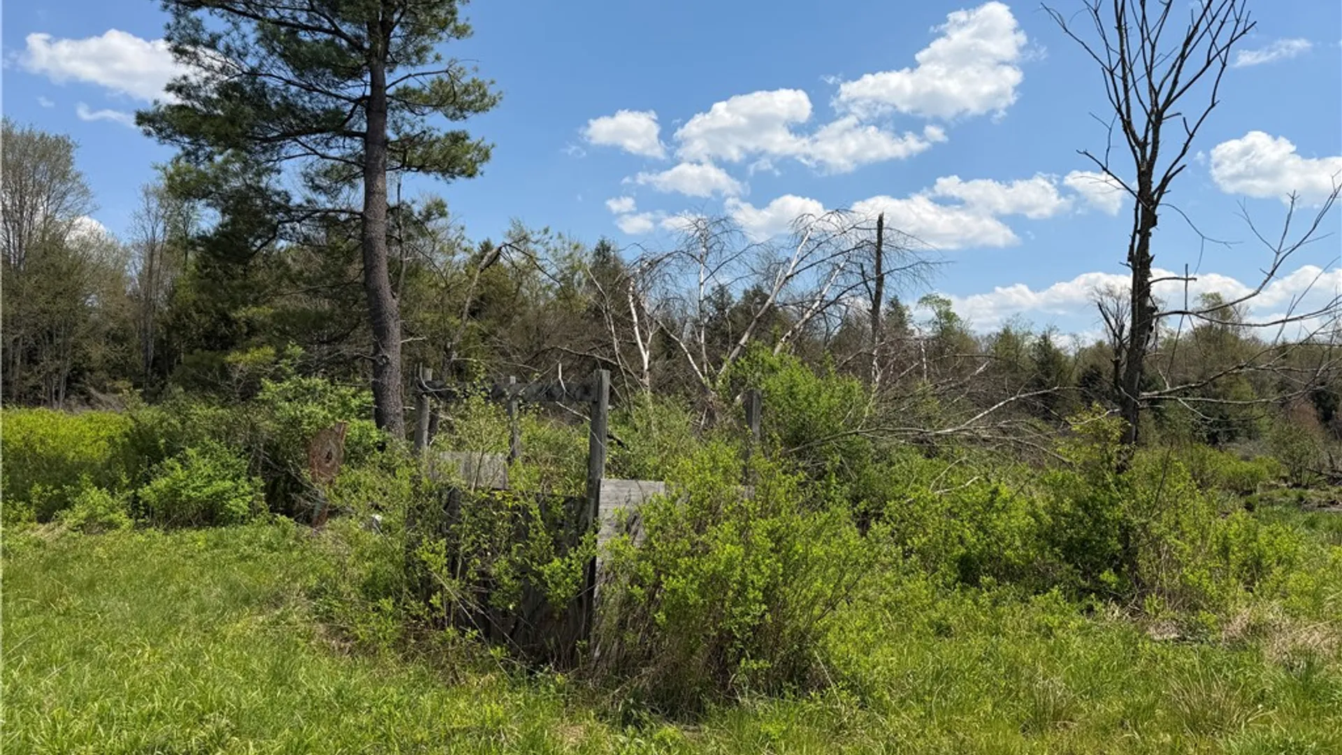 Property at Lot 1 County Road 16, Grove, NY 14884 15