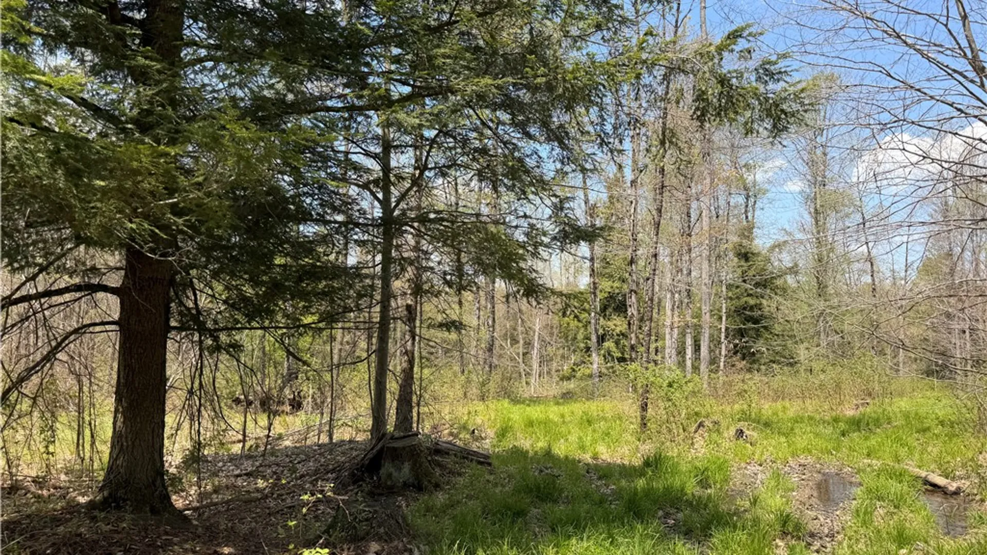 Property at Lot 1 County Road 16, Grove, NY 14884 16