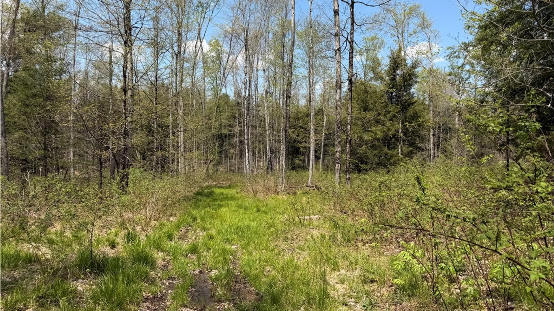Property at Lot 1 County Road 16, Grove, NY 14884 17