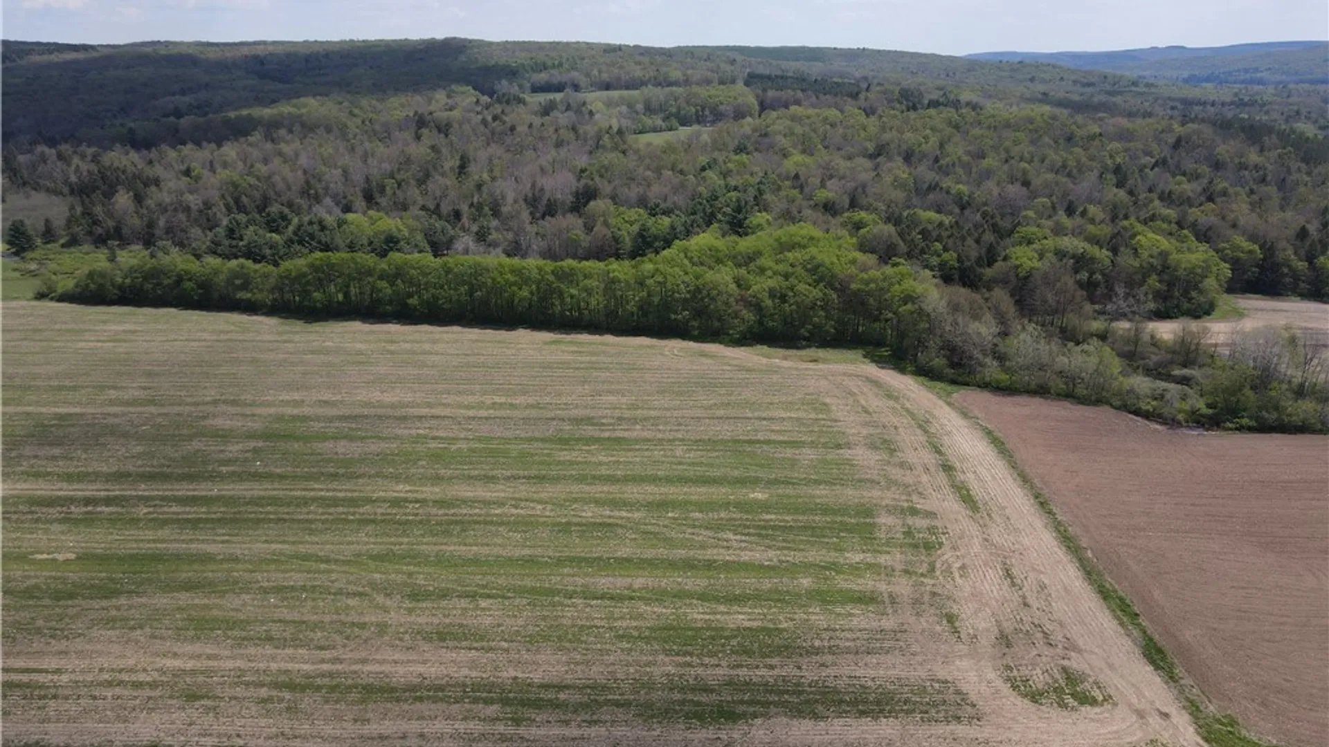Property at Lot 03 County Road 16, Grove, NY 14884 3