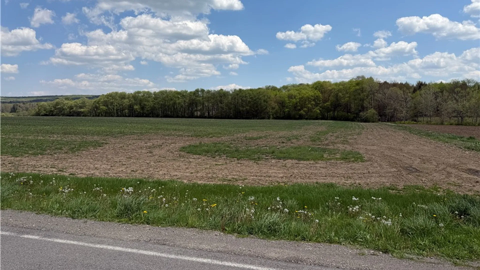 Property at Lot 03 County Road 16, Grove, NY 14884 4